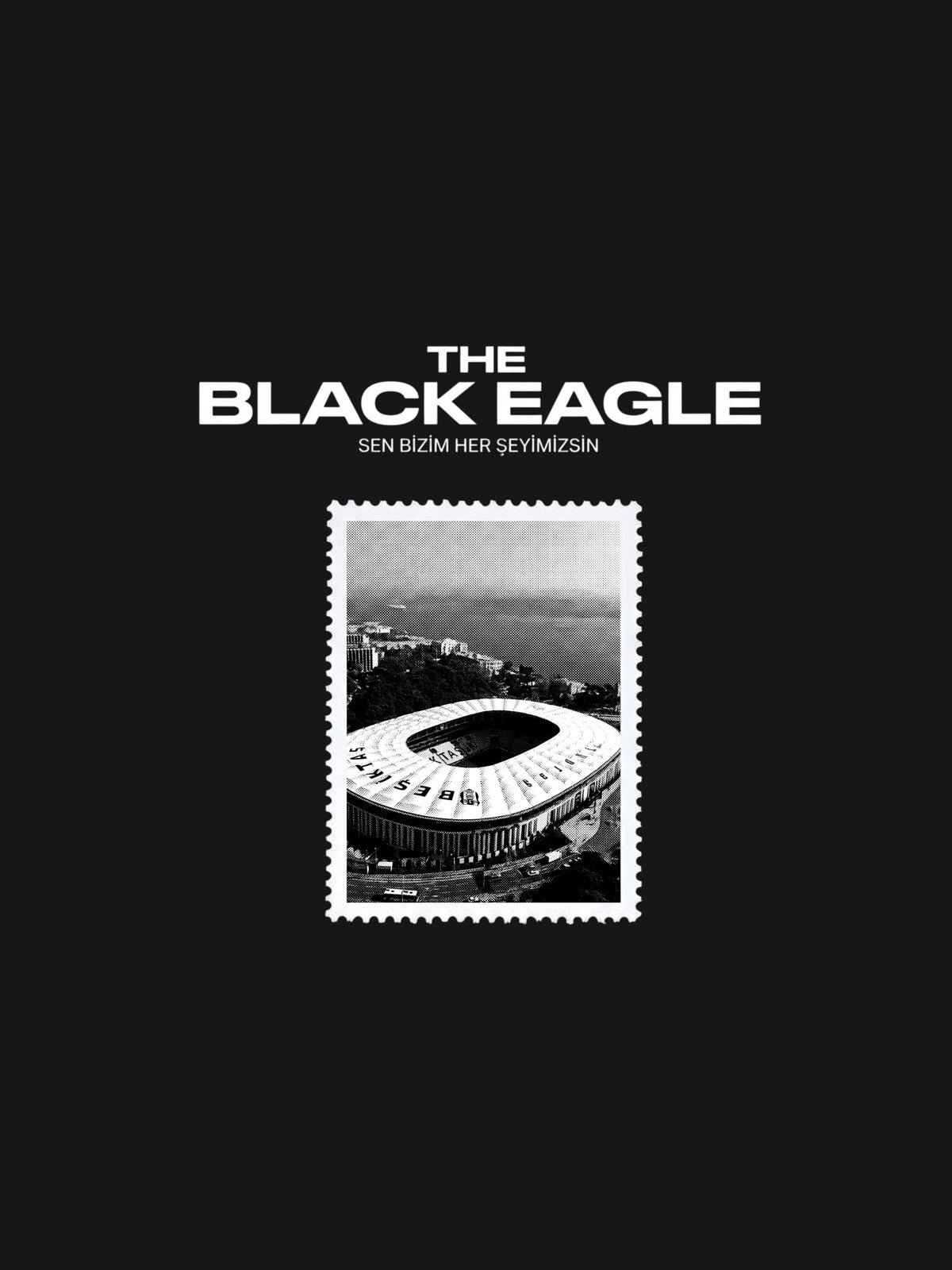 The Black Eagle Sweatshirt