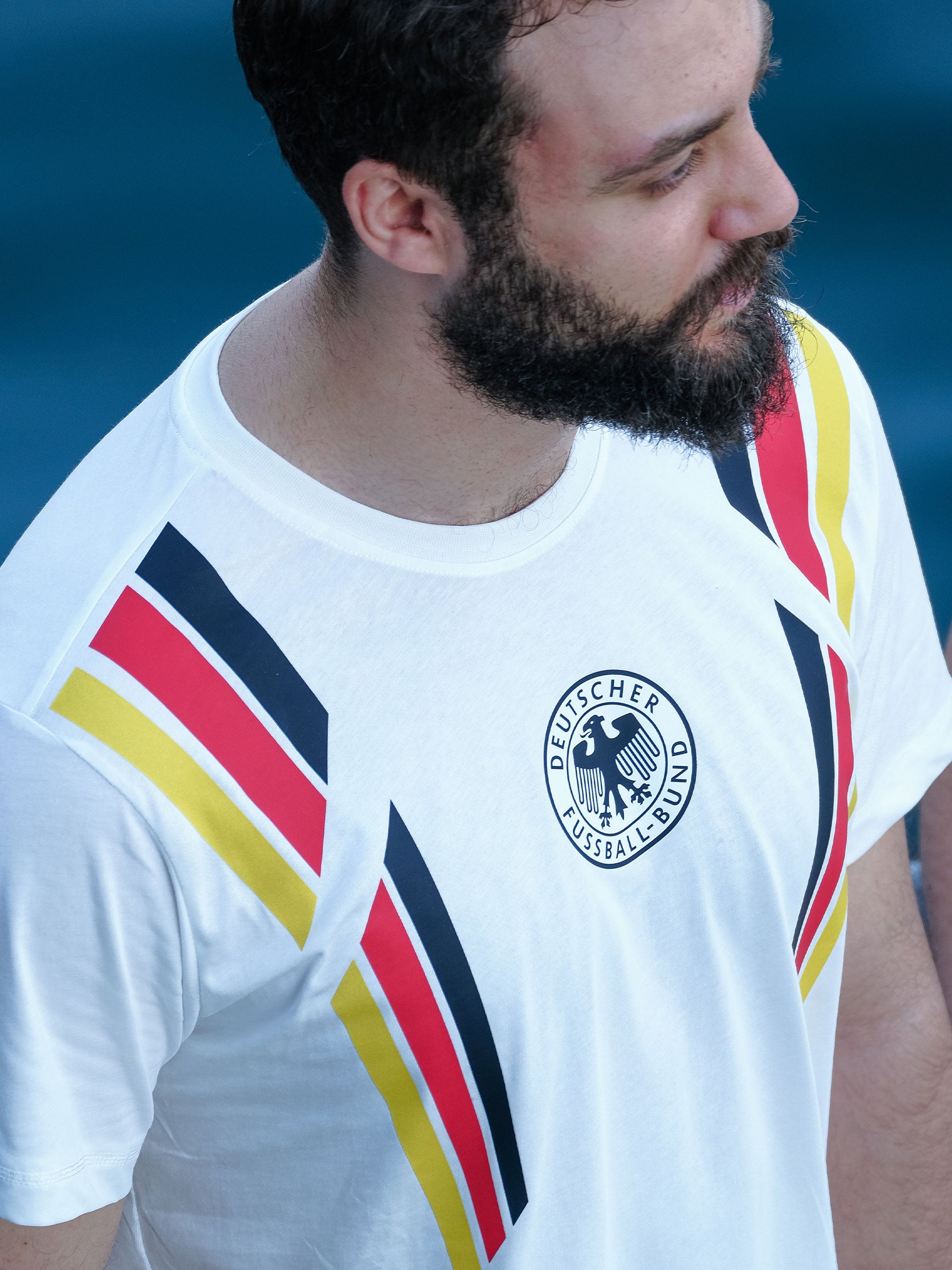 Almanya Avrupa Şampiyonası Serisi